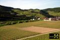 Der Kaiserstuhl in Baden-Württemberg, (D) (50) 10. Mai 2015 Blick ins Krottenbachtal.JPG